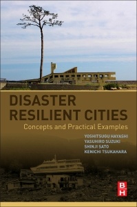 Couverture de l’ouvrage Disaster Resilient Cities