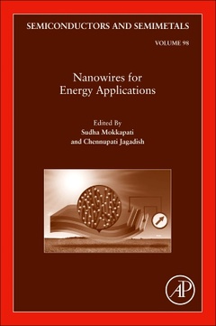 Couverture de l’ouvrage Nanowires for Energy Applications