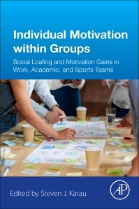 Cover of the book Individual Motivation within Groups