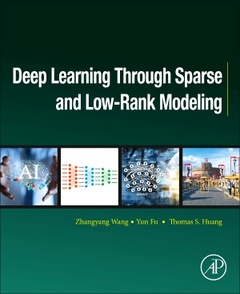 Couverture de l’ouvrage Deep Learning through Sparse and Low-Rank Modeling