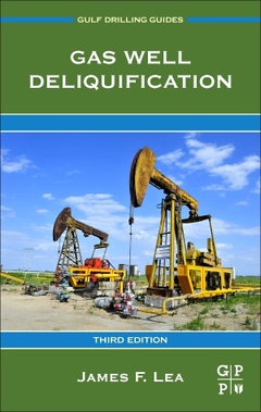 Couverture de l’ouvrage Gas Well Deliquification
