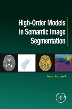 Cover of the book High-Order Models in Semantic Image Segmentation