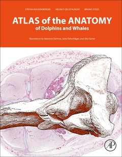 Cover of the book Atlas of the Anatomy of Dolphins and Whales