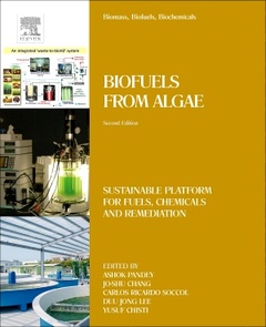 Cover of the book Biomass, Biofuels, Biochemicals