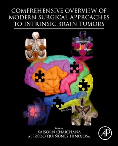 Cover of the book Comprehensive Overview of Modern Surgical Approaches to Intrinsic Brain Tumors