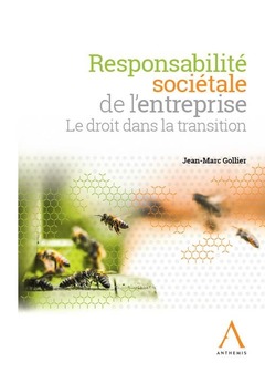 Cover of the book RESPONSABILITE SOCIETALE DE L'ENTREPRISE