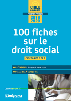 Cover of the book 100 fiches sur le droit social