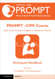 Couverture de l’ouvrage PROMPT-CIPP Course Participant's Handbook