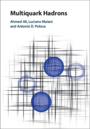 Cover of the book Multiquark Hadrons
