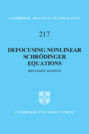 Couverture de l’ouvrage Defocusing Nonlinear Schrödinger Equations
