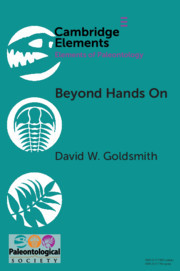 Cover of the book Beyond Hands On