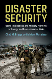 Cover of the book Disaster Security