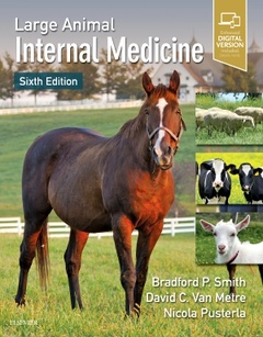 Couverture de l’ouvrage Large Animal Internal Medicine