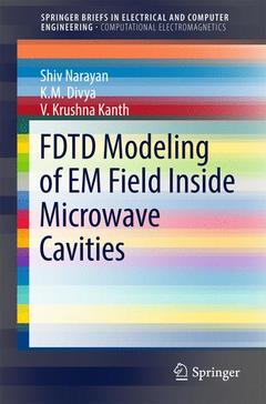 Couverture de l’ouvrage FDTD Modeling of EM Field inside Microwave Cavities