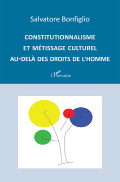 Cover of the book Constitutionnalisme et métissage culturel au-delà des droits de l'Homme