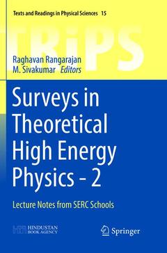 Cover of the book Surveys in Theoretical High Energy Physics - 2