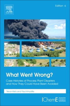 Cover of the book What Went Wrong?