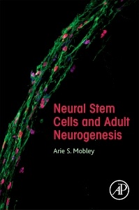 Couverture de l’ouvrage Neural Stem Cells and Adult Neurogenesis