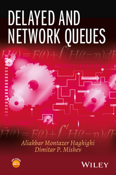 Couverture de l’ouvrage Delayed and Network Queues