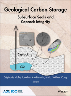 Couverture de l’ouvrage Geological Carbon Storage
