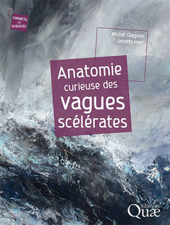 Cover of the book Anatomie curieuse des vagues scélérates