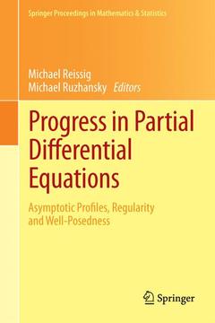 Cover of the book Progress in Partial Differential Equations
