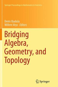 Couverture de l’ouvrage Bridging Algebra, Geometry, and Topology