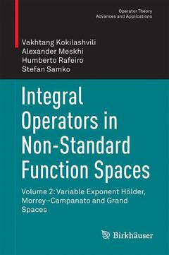 Couverture de l’ouvrage Integral Operators in Non-Standard Function Spaces