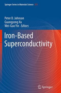 Couverture de l’ouvrage Iron-Based Superconductivity