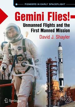 Cover of the book Gemini Flies!