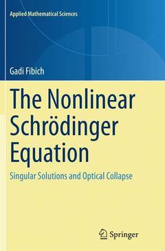 Cover of the book The Nonlinear Schrödinger Equation
