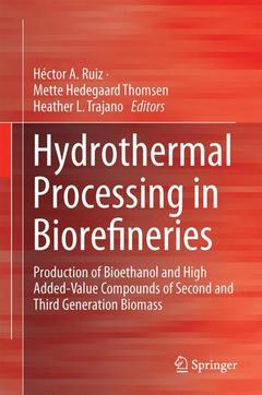 Couverture de l’ouvrage Hydrothermal Processing in Biorefineries