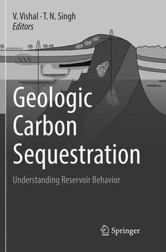 Couverture de l’ouvrage Geologic Carbon Sequestration