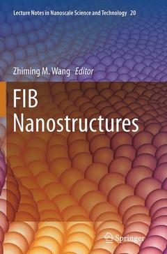 Couverture de l’ouvrage FIB Nanostructures