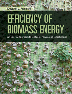 Couverture de l’ouvrage Efficiency of Biomass Energy