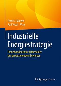 Couverture de l’ouvrage Industrielle Energiestrategie