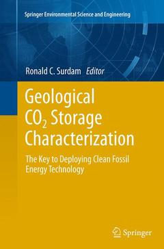 Couverture de l’ouvrage Geological CO2 Storage Characterization