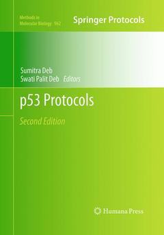 Couverture de l’ouvrage p53 Protocols