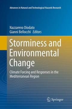 Couverture de l’ouvrage Storminess and Environmental Change