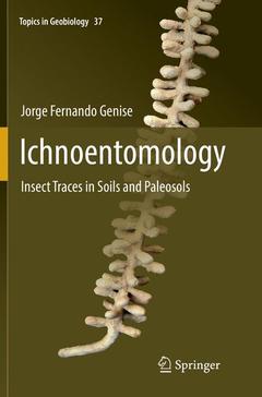 Cover of the book Ichnoentomology
