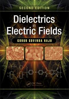 Couverture de l’ouvrage Dielectrics in Electric Fields