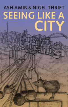 Cover of the book Seeing Like a City