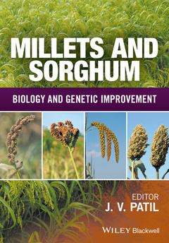 Couverture de l’ouvrage Millets and Sorghum