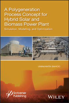 Cover of the book A Polygeneration Process Concept for Hybrid Solar and Biomass Power Plant