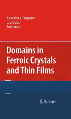 Cover of the book Domains in Ferroic Crystals and Thin Films