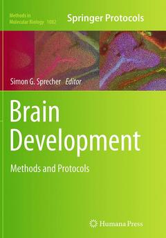 Couverture de l’ouvrage Brain Development