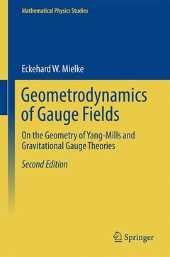Couverture de l’ouvrage Geometrodynamics of Gauge Fields