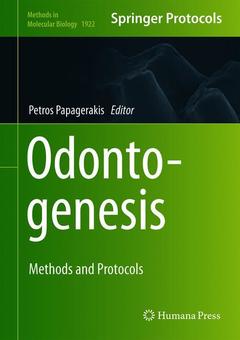 Cover of the book Odontogenesis