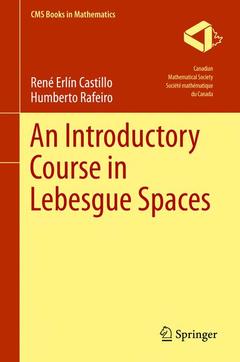 Couverture de l’ouvrage An Introductory Course in Lebesgue Spaces