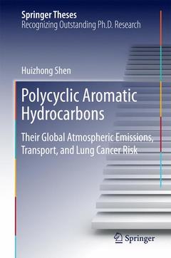 Couverture de l’ouvrage Polycyclic Aromatic Hydrocarbons